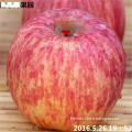 Good gifts, gifts, home necessities, travel, leisure business, vegetarian, domestic red Fuji apple